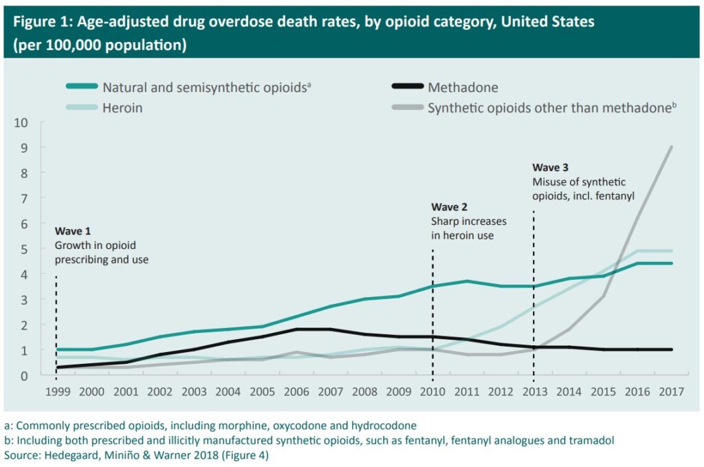 North America’s opioid epidemic