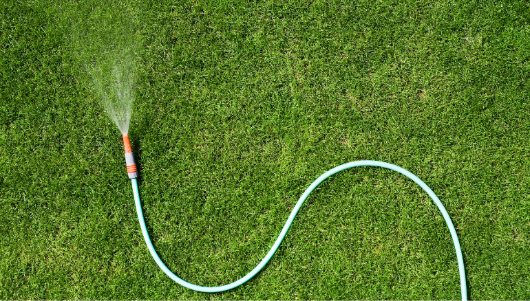 Can Pre Ejaculate Pre Cum Cause Pregnancy Sperm