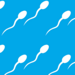 What happens during a semen analysis for male fertility