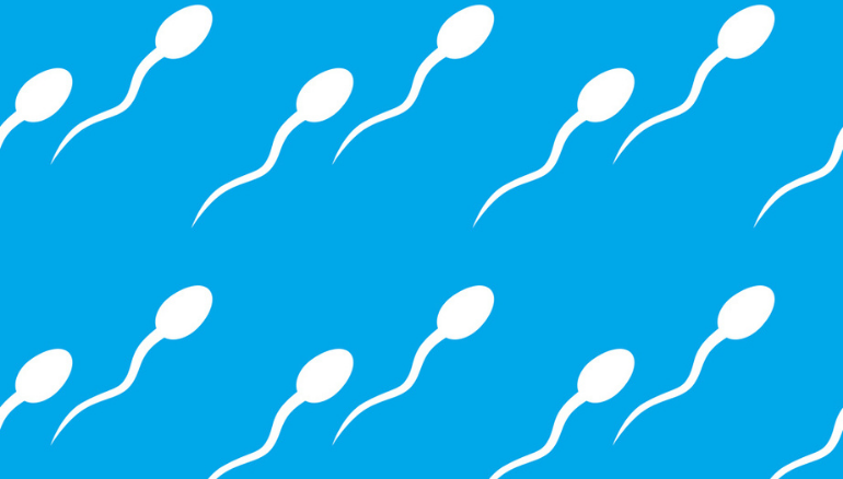 What happens during a semen analysis for male fertility