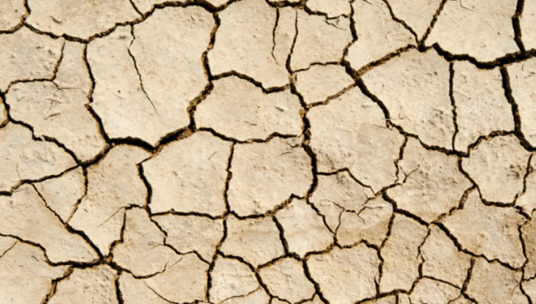 Why Do I Have Dry Skin My Penis