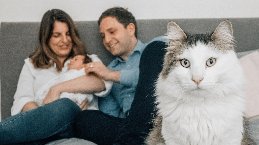 The Feren Family, with daughter Ruby and the family cat.